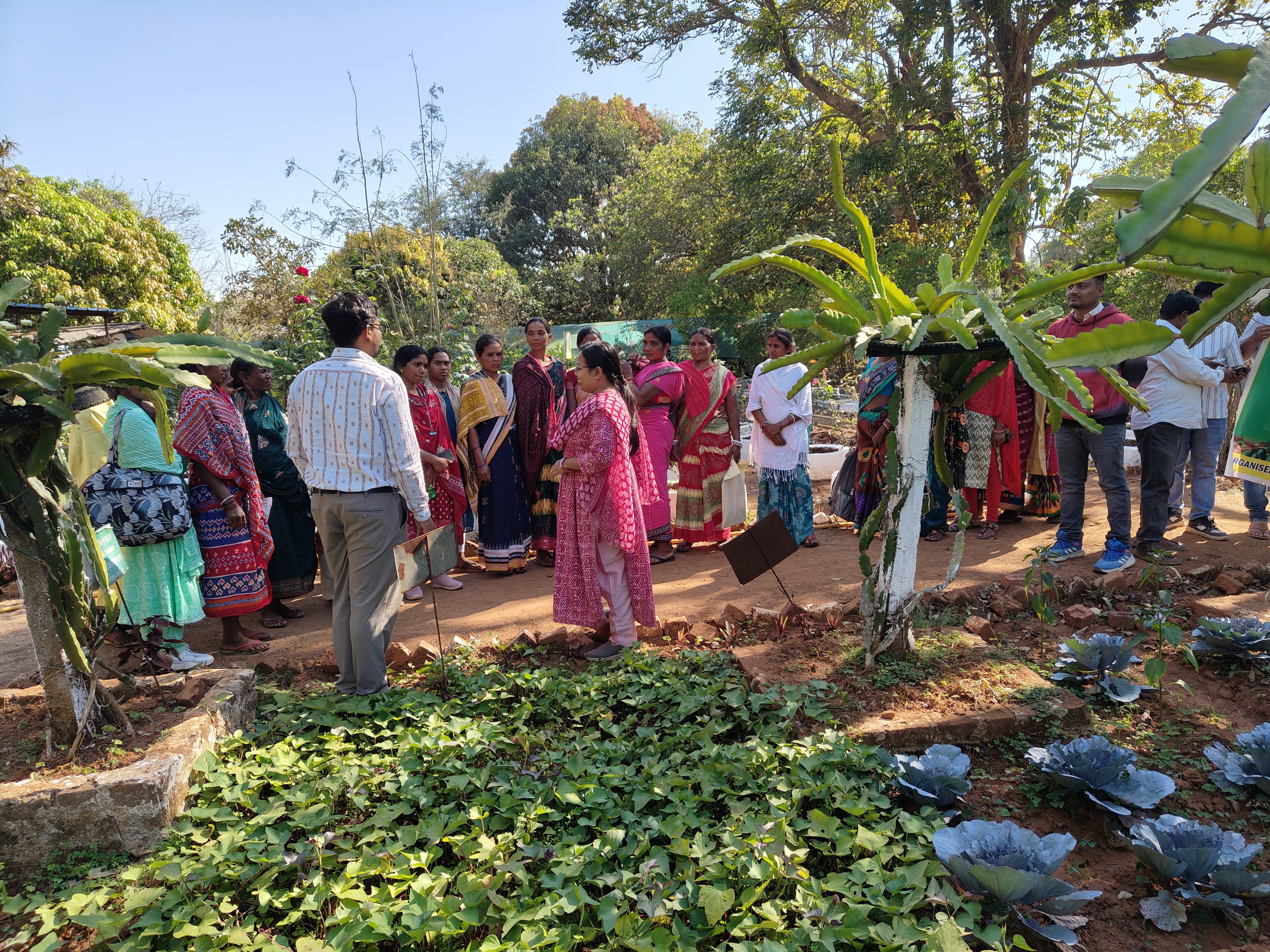Krishi Vigyan Kendra, Koraput