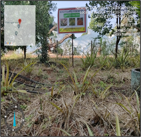 Krishi Vigyan Kendra, Koraput