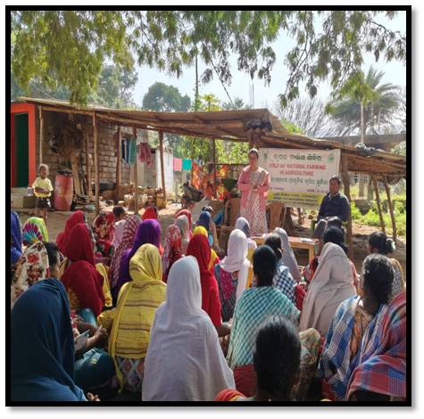 Krishi Vigyan Kendra, Koraput