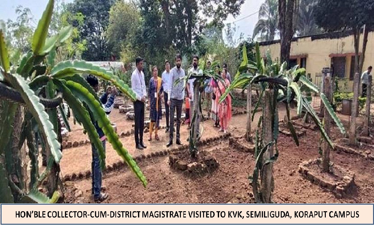 Krishi Vigyan Kendra Koraput